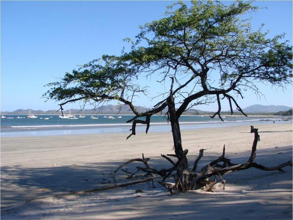 Jet Luxury At Langosta Beach Resort & Villas Tamarindo Exterior photo